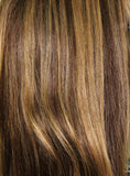 20" Brown with Blonde Highlights Ombré Tips Lace Front